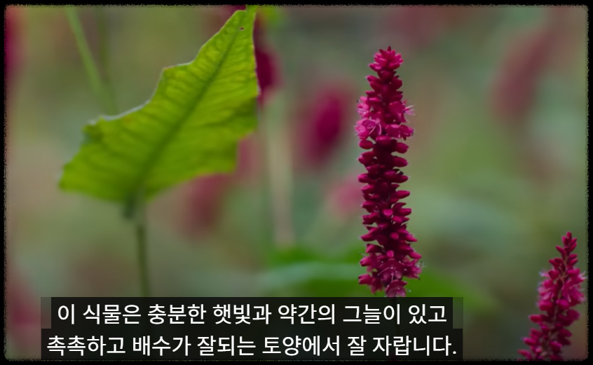 삼성 갤럭시 유저라면 제미나이 AI |카메라로 비추면 현장 분석까지! 스마트폰 유저 삼성폰 콘텐츠 생성 실전 일상형 AI 가이드 글쓰기 번역 요약 생성형 AI어시스턴트