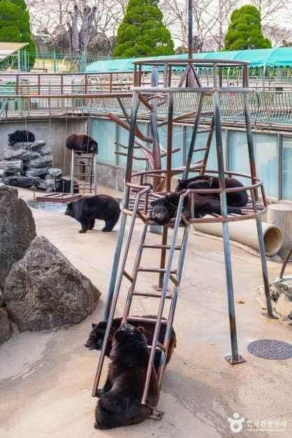 베어트리파크 입장료