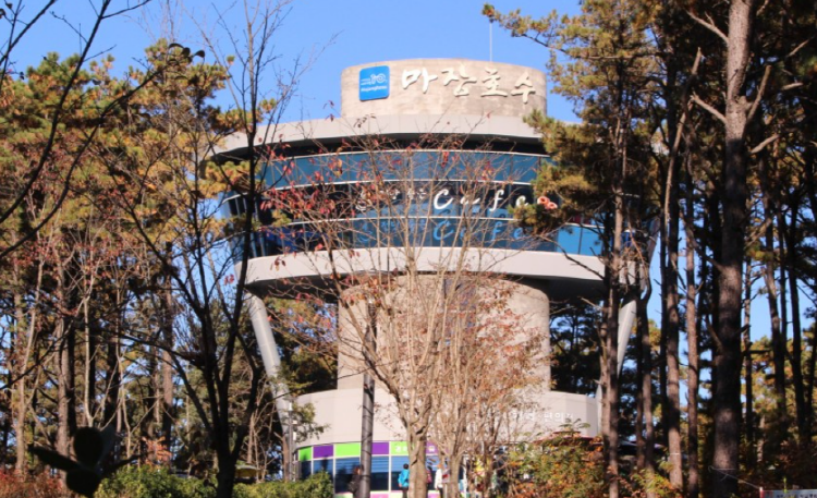 마장호수 출렁다리