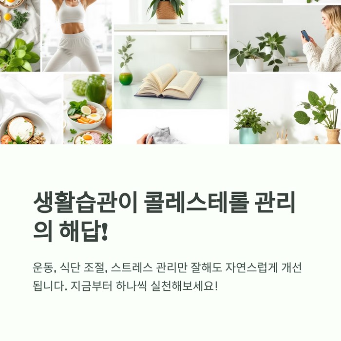 콜레스테롤 낮추는 가장 효과적인 방법 7가지 요약 이미지