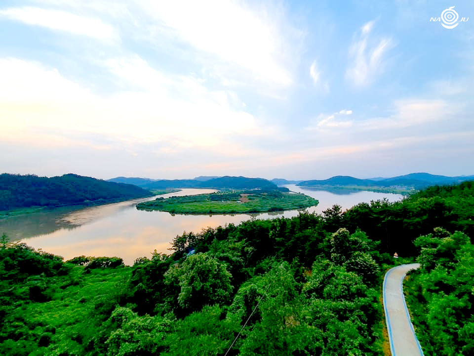 느러지전망대 수국길