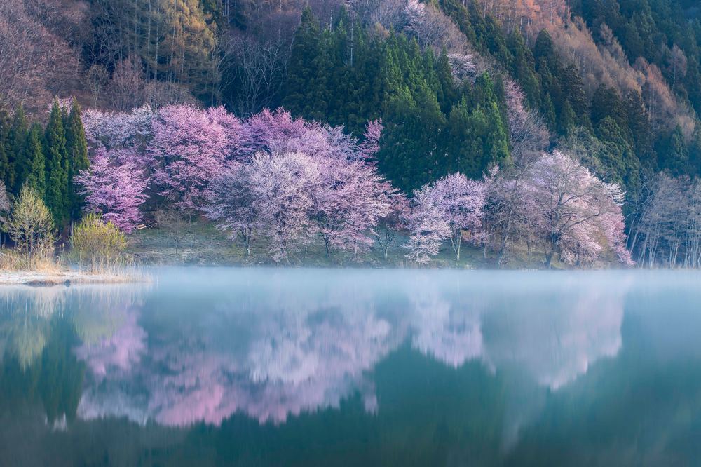 강원 속초시 속초 노학동 공공파크골프장_1