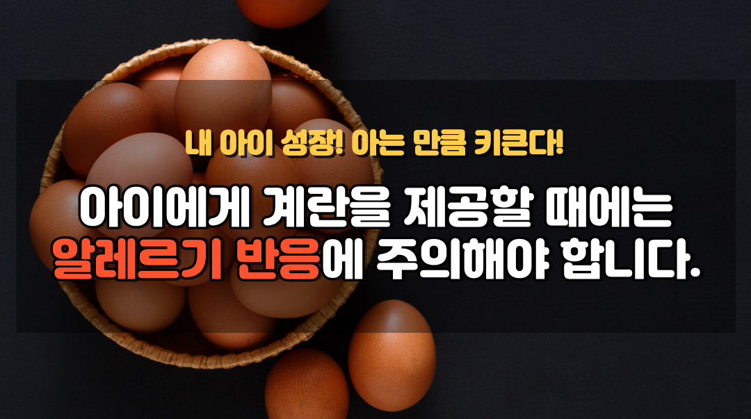 계란