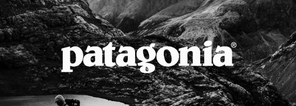 등산복 브랜드 순위 10위: 파타고니아