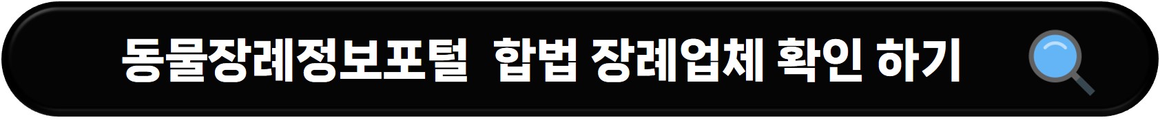 반려동물 장례 절차 및 장례식장