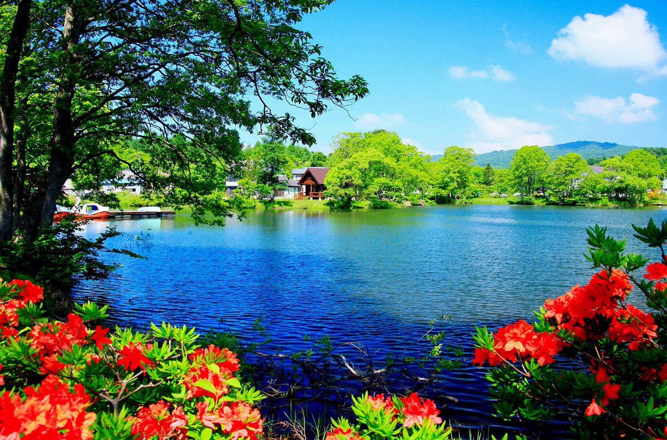 눈이 좋아지는 사진