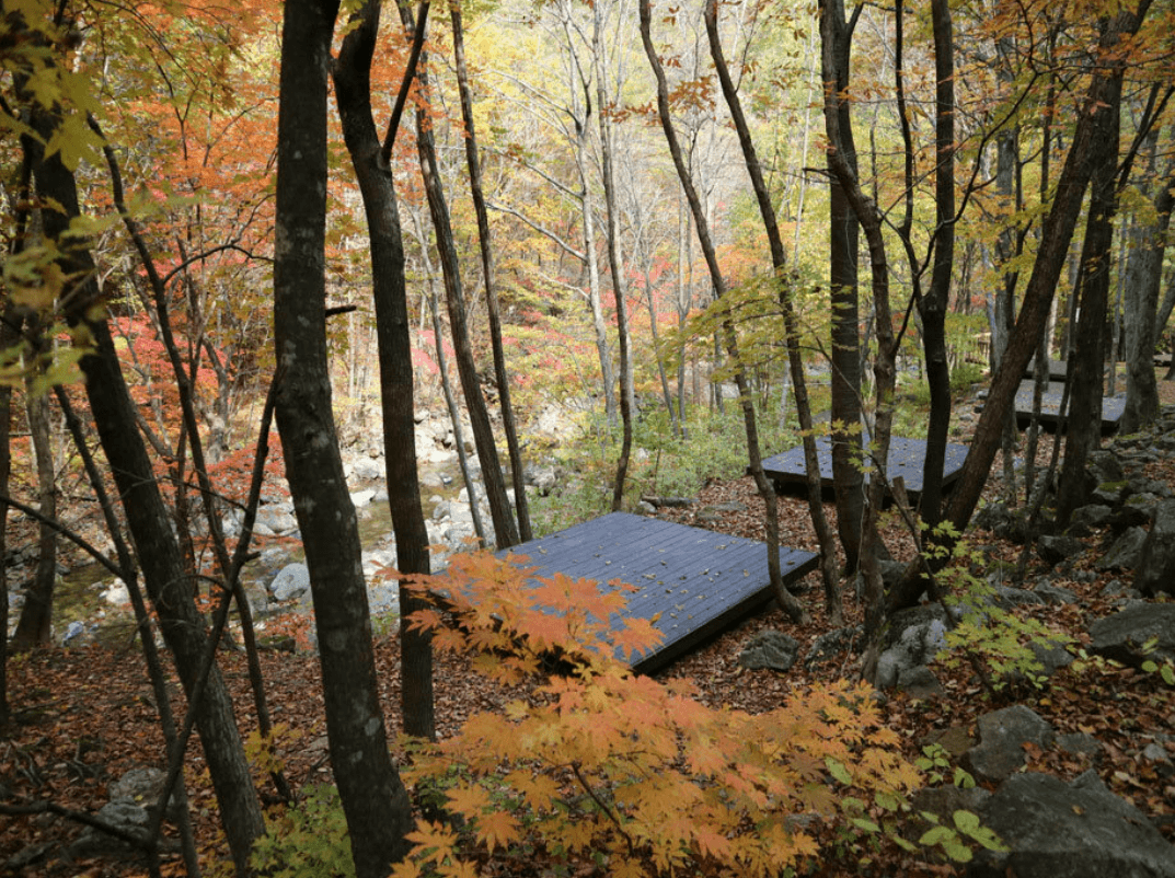 국립 용대자연휴양림