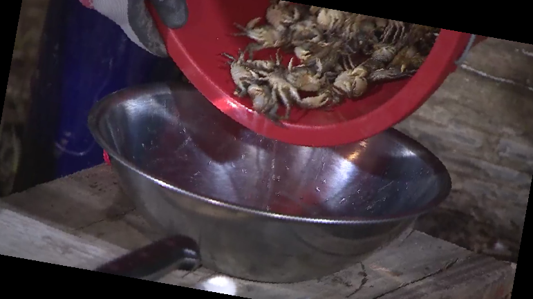 안싸우면 다행이야 재방송