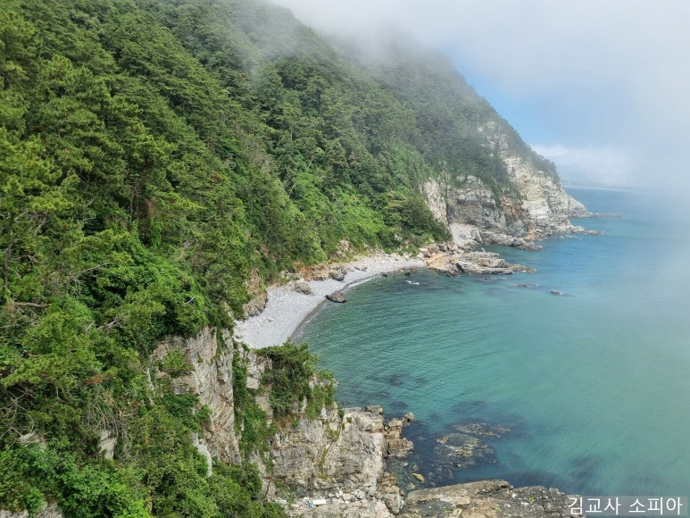 부산 태종대 폭염 여행 리얼후기🌊 여름 필수템 8가지 추천