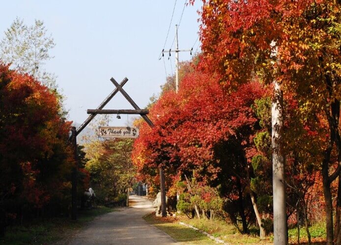 숲나들e 강씨봉 자연휴양림 국내 여행지 추천 관련 사진
