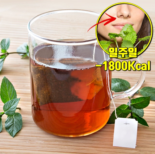 간헐적 단식 식단표 필수 식욕억제 음식 페퍼민트,팁줌