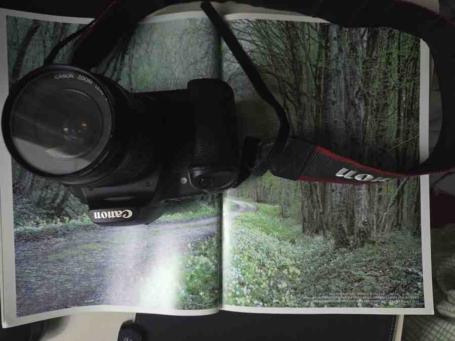 Canon EOS 30D 가이드북으로 다시 이해한 ‘프레임 구성의 기본기’