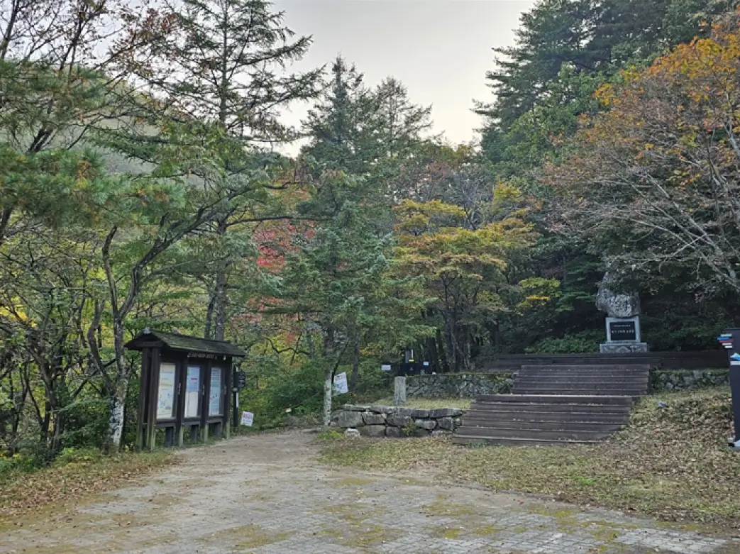 예쁜 단풍 구경하기 좋은 곳, 단풍 시작 시기, 절정시기