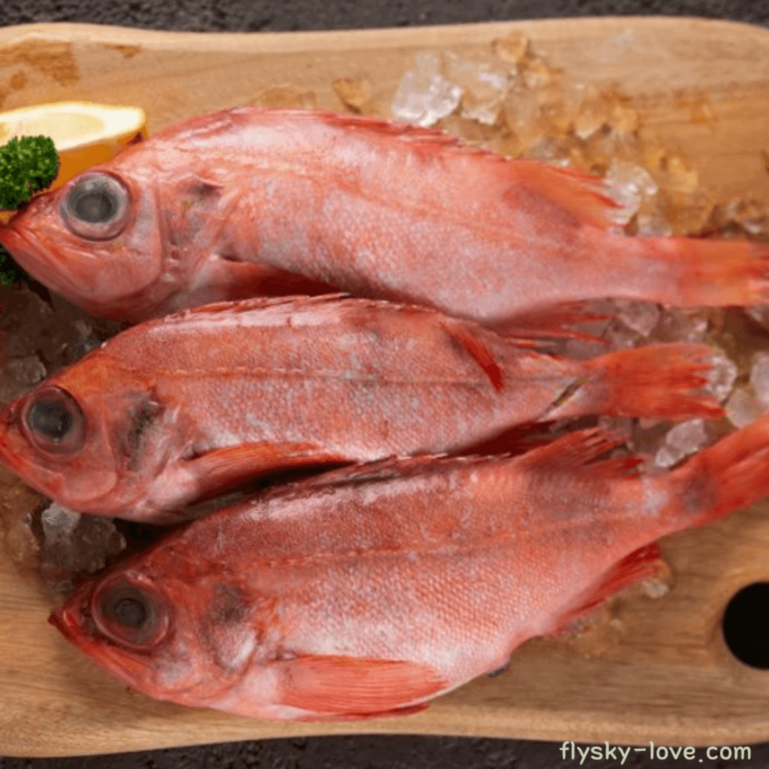 장문볼락, 적어, 빨간 고기