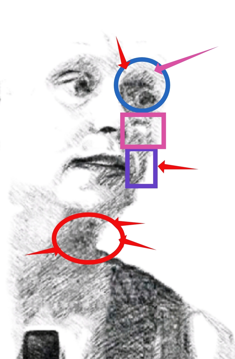 img.jpg?credential=yqXZFxpELC7KVnFOS48yl