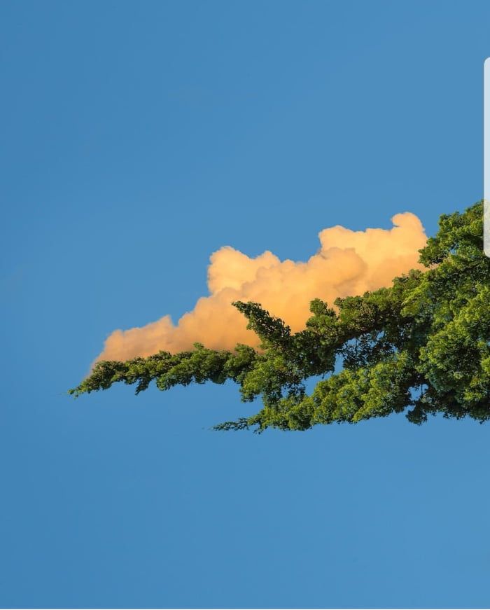 초록색 감성사진