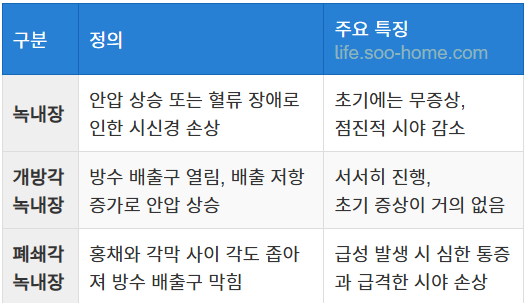녹내장의 정의와 주요 특징