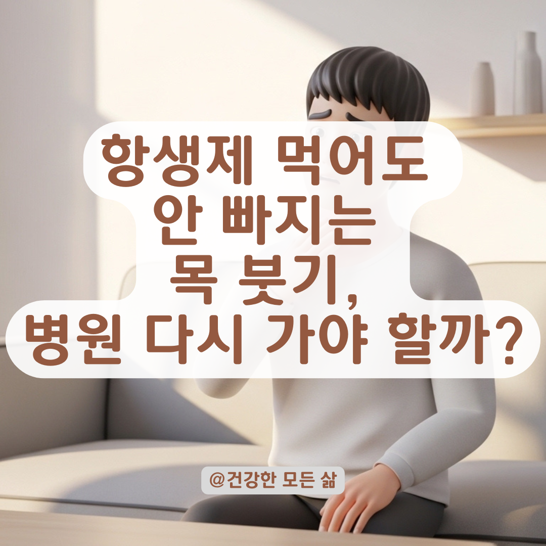 항생제 먹는데도 목이 계속 부어있다면? 추가 진료 타이밍과 원인 총정리