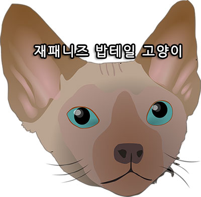 재패니즈 밥테일 고양이