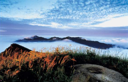 2025 가을 소백산 단풍 절정 & 등산코스 가이드 ❘ 비로봉·천동 코스·주차장 정보