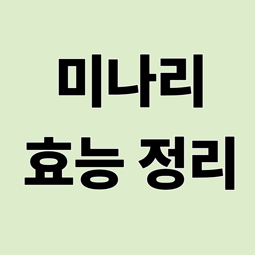 미나리 효능 총정리 – 몸에 좋은 이유와 먹는 방법