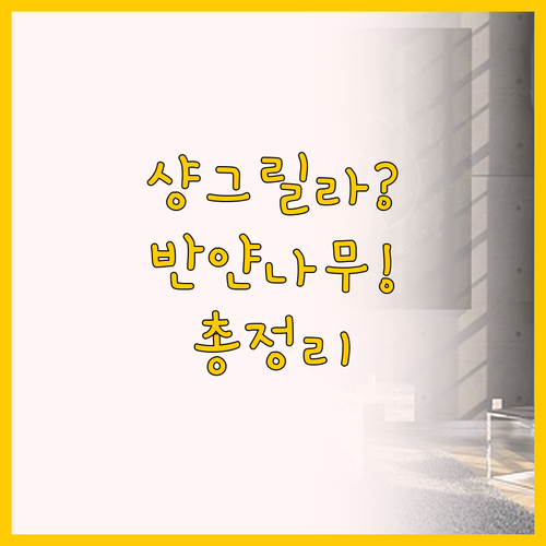 38층 타워뷰 샹그릴라 vs 반얀나무..
