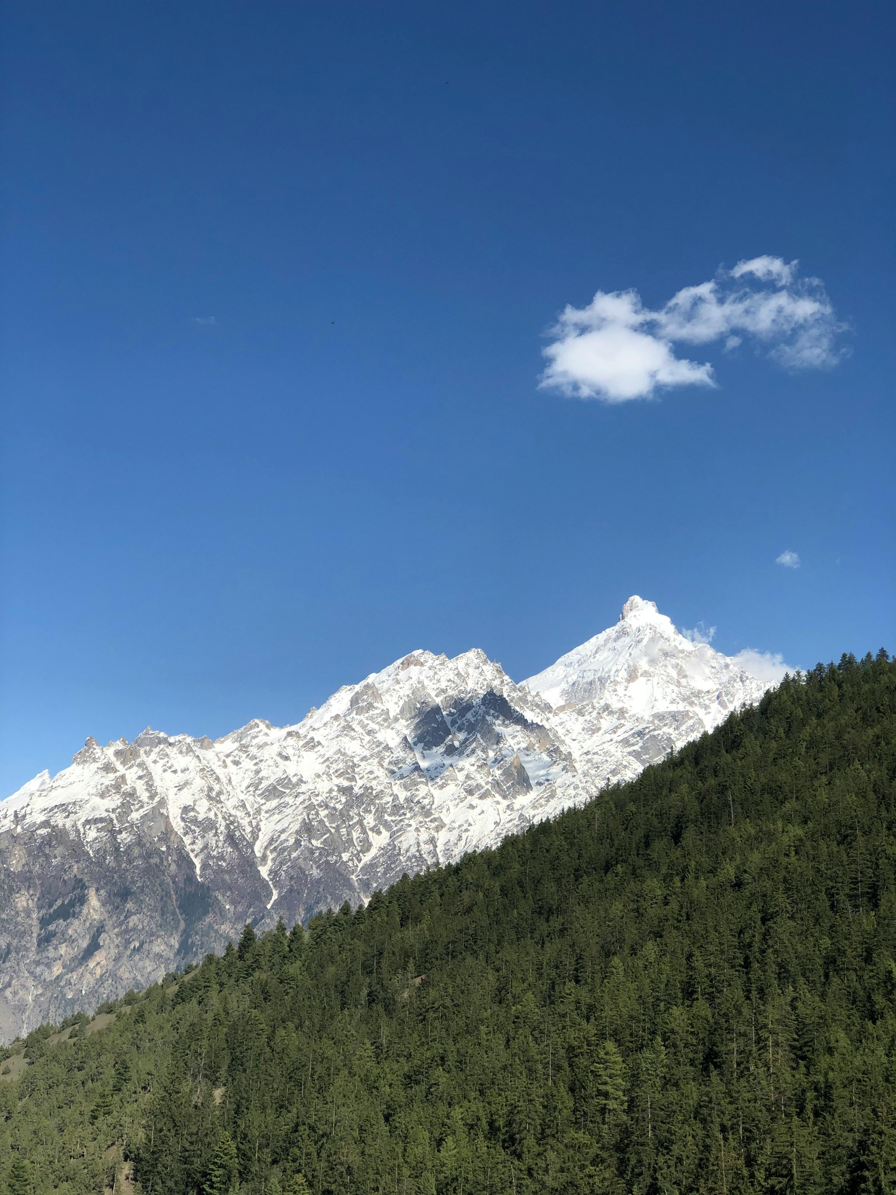 태어난 김에 세계일주