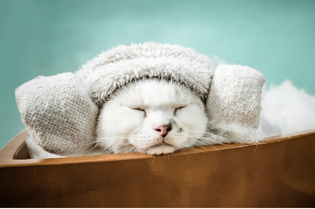 인천 송도 유럽형 스파단지 웰니스&amp;#44; 계획&amp;#44; 완공&amp;#44; 테르메 프로젝트&amp;#44; 웰빙스파