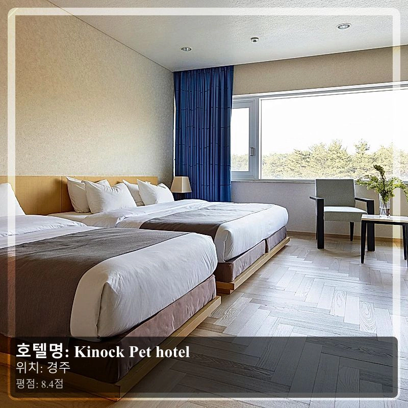 Kinock Pet hotel_3