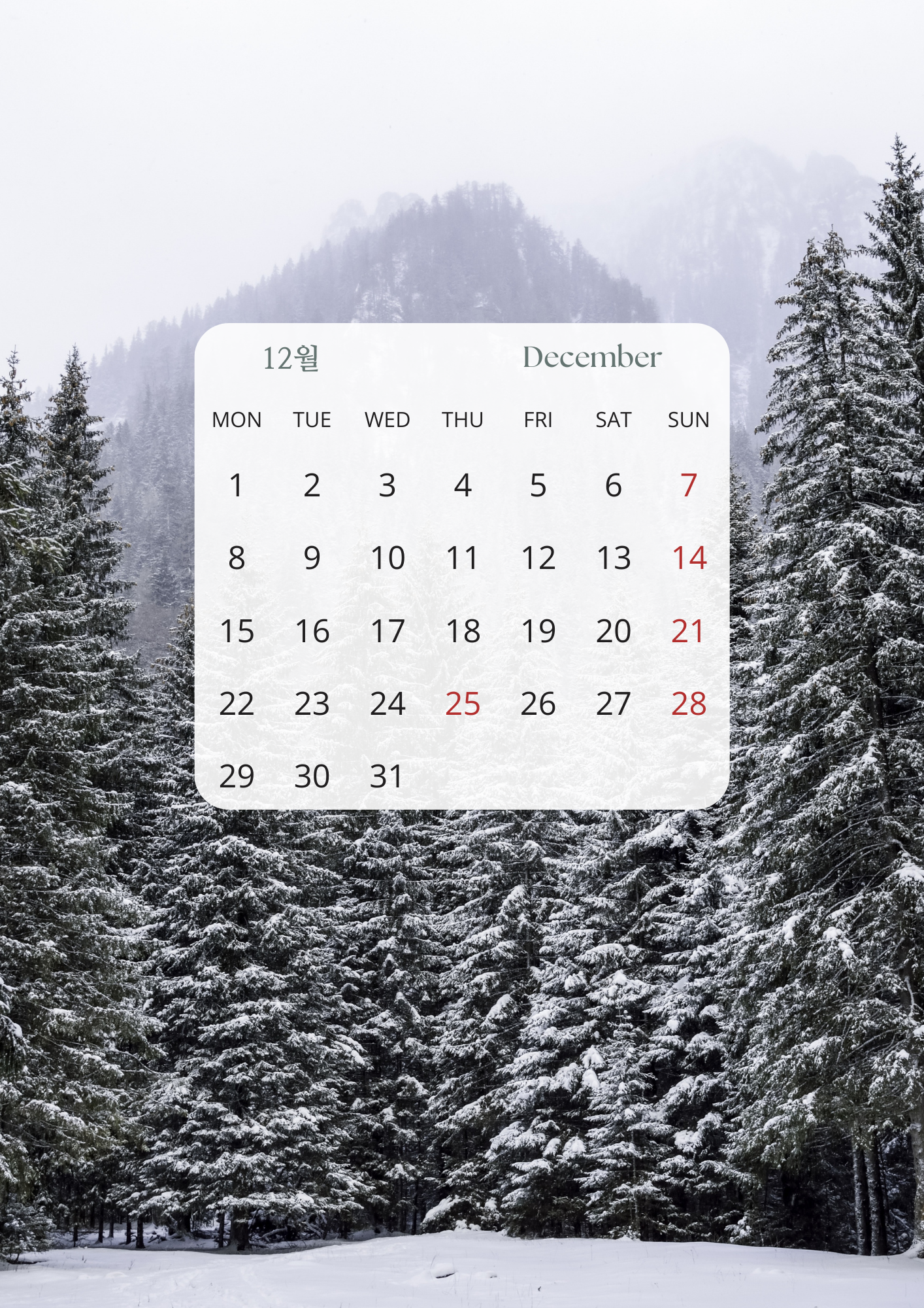 2025년 12월 달력 배경화면 스마트폰 그림 이미지 사진