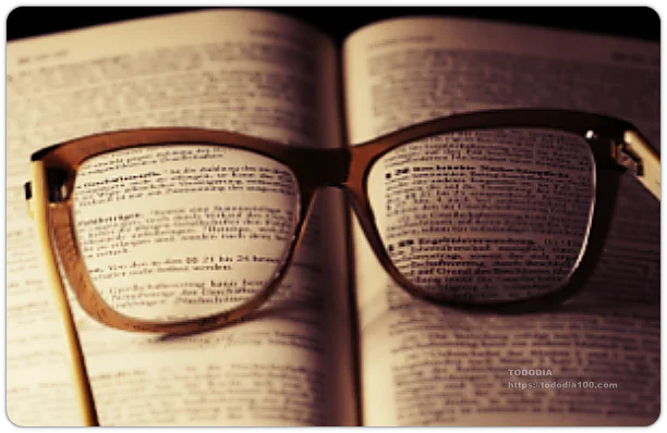 성문법불문법 비교