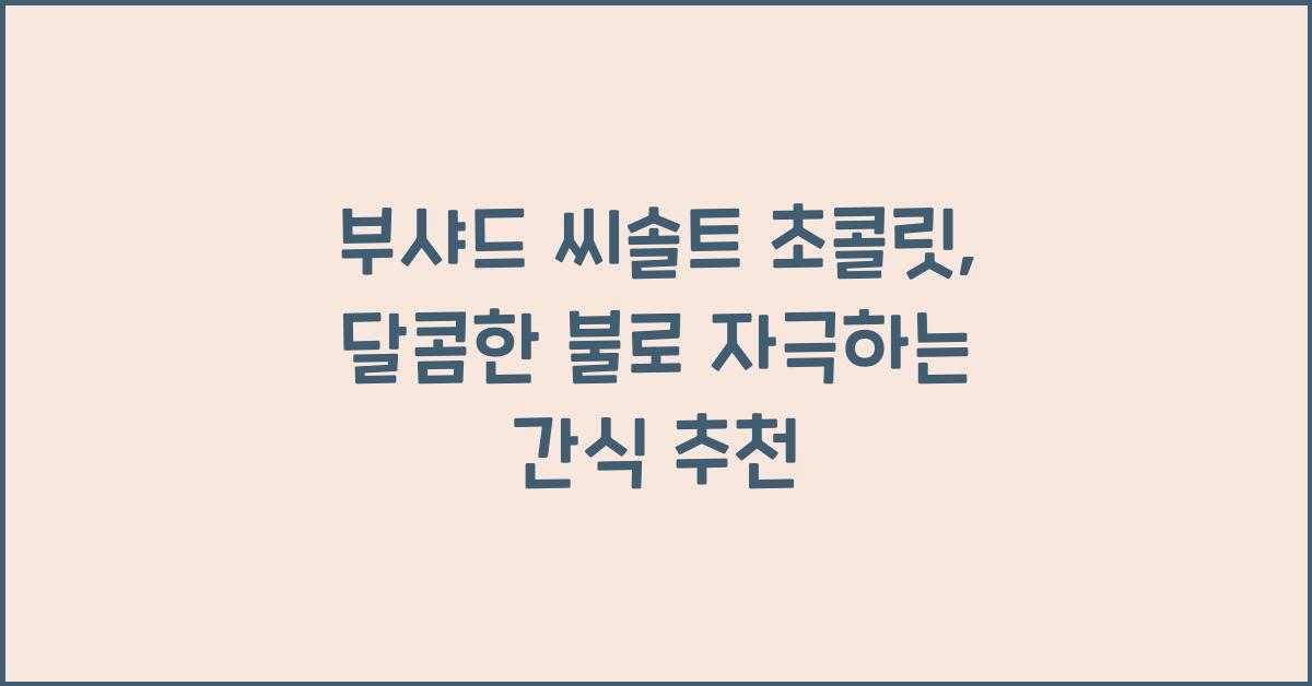 부샤드 씨솔트 초콜릿