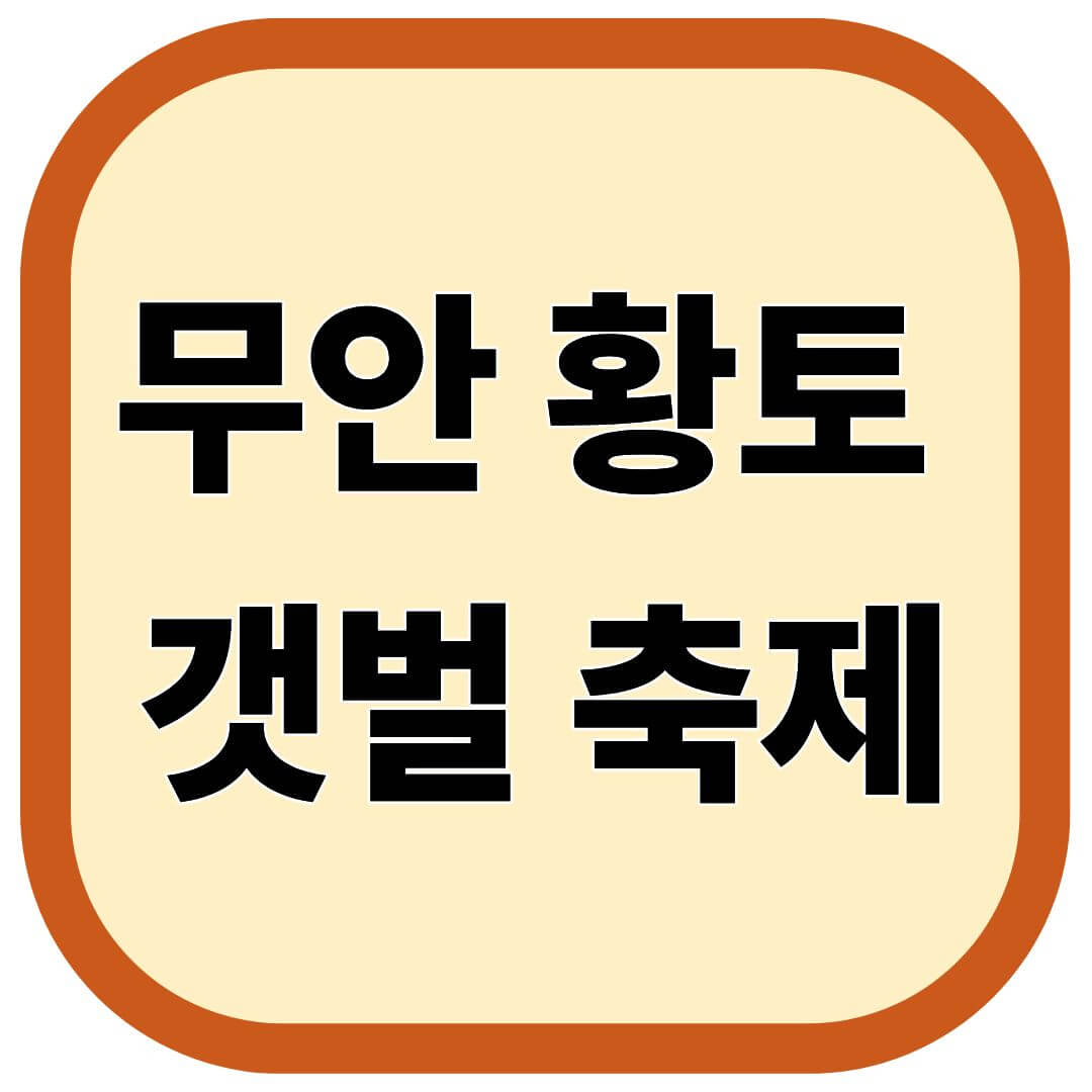 무안 황토 갯벌축제