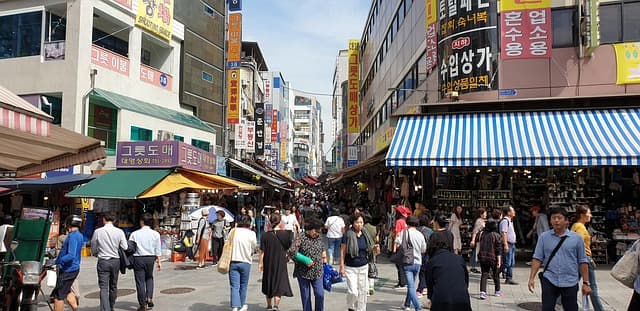 패션 브랜드의 적응형 라인 론칭 현황과 분석