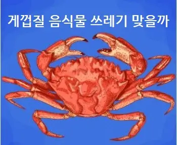 게껍질 음식물 쓰레기 맞을까