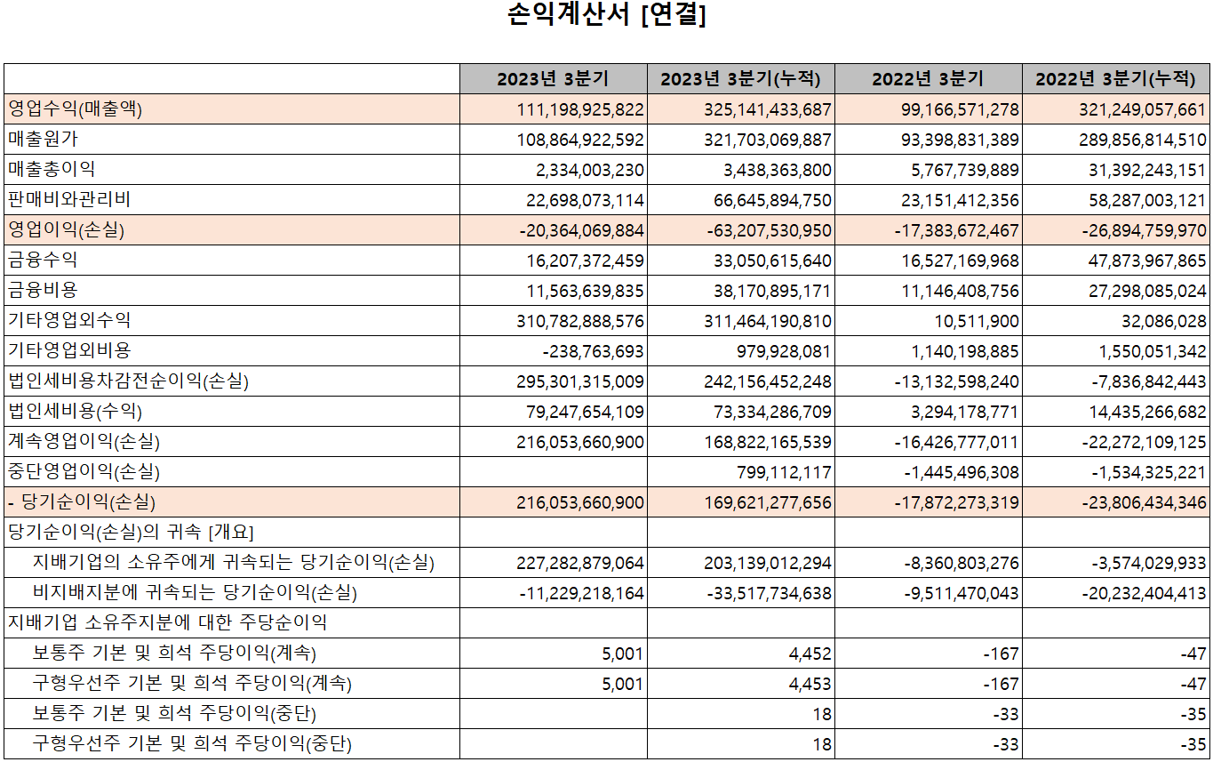 솔루스첨단소재 - 손익계산서