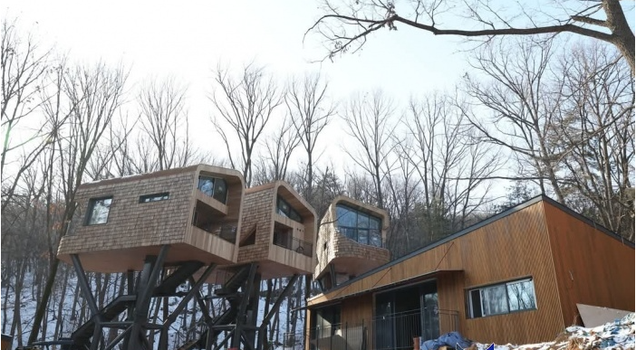 수락휴트리하우스