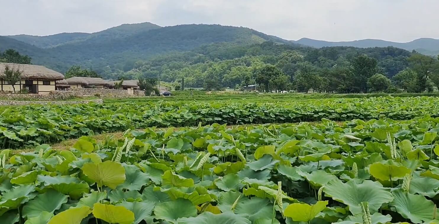 외암민속마을