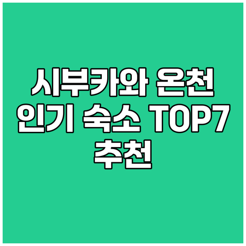 시부카와 이카호 온천 인기 숙소 TO