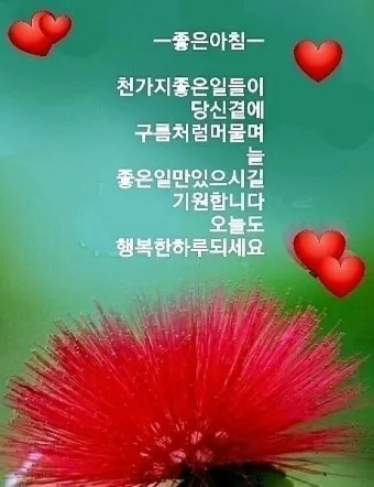 화요일 아침 인사말 좋은 글 9월 가을 이미지들_21