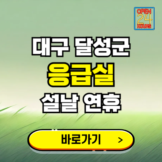 대구 달성군 설날 연휴 비상진료 응급실 병원 찾기 ❘ 내근처 24시 야간 심야 휴일 가능한 곳