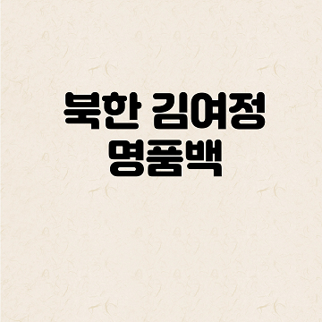 북한 김여정 명품백