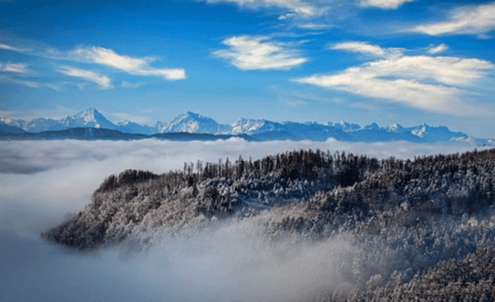 나무가 많은 숲에 하얀 안개가 잔뜩 끼었다. 멀리 설산이 즐비하고 하늘은 파랗다.