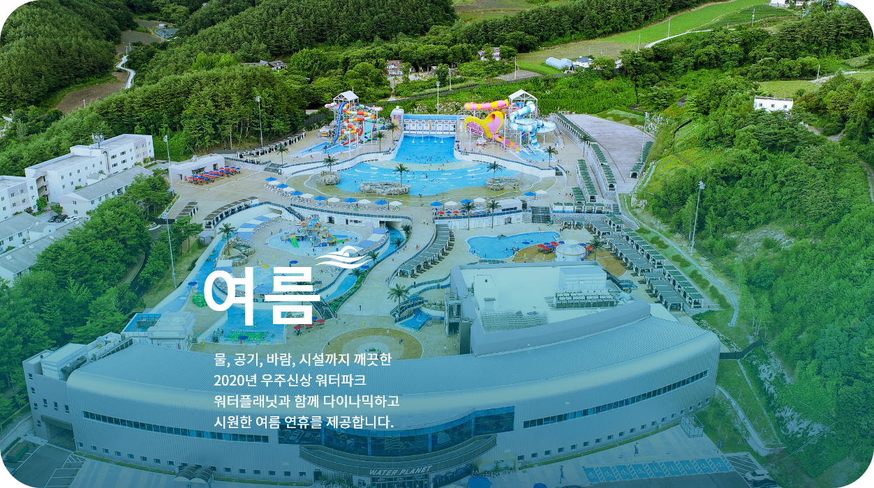 강원도 고랭지 토마토의 매력! 2025 둔내 고랭지 토마토축제