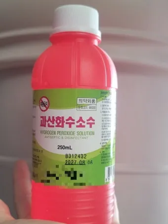 화분 잎타는 현상 예방 차광커튼 시간대조절 직사광관리 요령_5