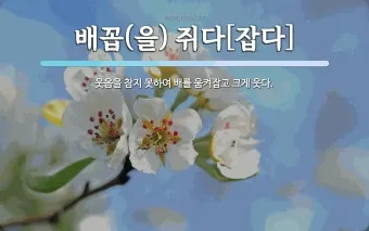 배보다 배꼽이 더 크다 뜻과 영어 속담 표현 안내집_19