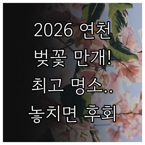 2026년 연천 벚꽃 개화 시기 및 ..