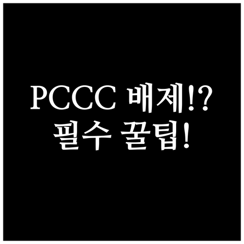 PCCC 오류로 인한 목록통관 배제 ..