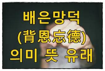 배은망덕 뜻 의미 실제 사례 유래_2