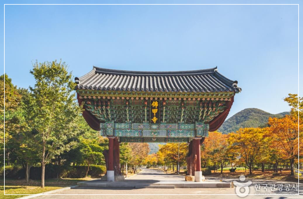 영광 가볼만한곳 베스트10 불갑산 상사화공원 & 축제